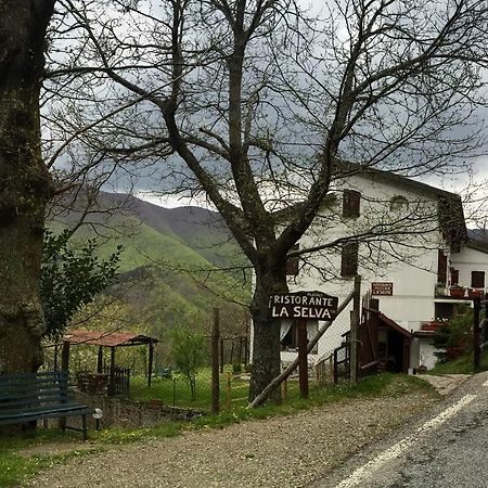 Albergo Ristorante La Selva Orsigna Exterior foto